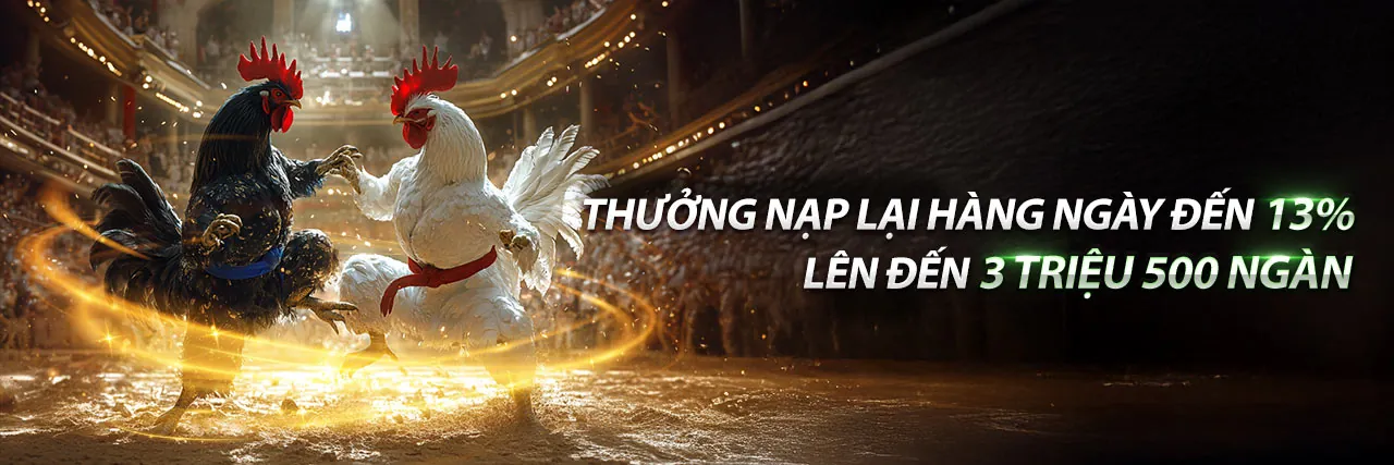 Hình ảnh tổng quan về các tin tức, sự kiện và khuyến mãi mới nhất từ PU88 đăng ký